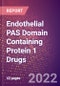Endothelial PAS Domain Containing Protein 1 Drugs in Development by Therapy Areas and Indications, Stages, MoA, RoA, Molecule Type and Key Players - Product Thumbnail Image