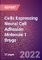 Cells Expressing Neural Cell Adhesion Molecule 1 Drugs in Development by Therapy Areas and Indications, Stages, MoA, RoA, Molecule Type and Key Players - Product Thumbnail Image