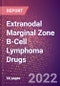 Extranodal Marginal Zone B-Cell Lymphoma Drugs in Development by Stages, Target, MoA, RoA, Molecule Type and Key Players - Product Thumbnail Image