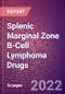 Splenic Marginal Zone B-Cell Lymphoma Drugs in Development by Stages, Target, MoA, RoA, Molecule Type and Key Players - Product Thumbnail Image