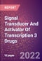 Signal Transducer And Activator Of Transcription 3 Drugs in Development by Therapy Areas and Indications, Stages, MoA, RoA, Molecule Type and Key Players - Product Thumbnail Image