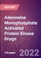 Adenosine Monophosphate Activated Protein Kinase ([Hydroxymethylglutaryl CoA Reductase] Kinase or AMPK or EC 2.7.11.31) Drugs in Development by Therapy Areas and Indications, Stages, MoA, RoA, Molecule Type and Key Players - Product Thumbnail Image