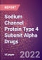 Sodium Channel Protein Type 4 Subunit Alpha Drugs in Development by Therapy Areas and Indications, Stages, MoA, RoA, Molecule Type and Key Players - Product Thumbnail Image