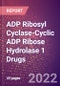 ADP Ribosyl Cyclase-Cyclic ADP Ribose Hydrolase 1 Drugs in Development by Therapy Areas and Indications, Stages, MoA, RoA, Molecule Type and Key Players - Product Thumbnail Image