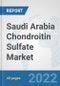 Saudi Arabia Chondroitin Sulfate Market: Prospects, Trends Analysis, Market Size and Forecasts up to 2027 - Product Thumbnail Image