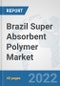 Brazil Super Absorbent Polymer Market: Prospects, Trends Analysis, Market Size and Forecasts up to 2027 - Product Thumbnail Image