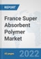 France Super Absorbent Polymer Market: Prospects, Trends Analysis, Market Size and Forecasts up to 2027 - Product Thumbnail Image