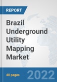 Brazil Underground Utility Mapping Market: Prospects, Trends Analysis, Market Size and Forecasts up to 2027- Product Image