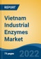 Vietnam Industrial Enzymes Market, By Type (Amylases, Cellulases, Proteases, Lipases, Phytases and Others), By Source (Micro-Organisms, Plants and Animals), By Application, By Region, Competition Forecast & Opportunities, 2017-2027 - Product Thumbnail Image