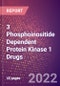 3 Phosphoinositide Dependent Protein Kinase 1 (PDPK1 or EC 2.7.11.1) Drugs in Development by Therapy Areas and Indications, Stages, MoA, RoA, Molecule Type and Key Players, 2022 Update - Product Thumbnail Image