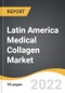 Latin America Medical Collagen Market 2022-2028 - Product Thumbnail Image