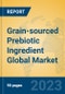 Grain-sourced Prebiotic Ingredient Global Market Insights 2022, Analysis and Forecast to 2027, by Manufacturers, Regions, Technology, Application, Product Type - Product Image