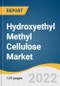 Hydroxyethyl Methyl Cellulose Market Size, Share & Trends Analysis Report by Application (Construction, Pharmaceuticals, Food), by Region (North America, APAC), and Segment Forecasts, 2022-2030 - Product Image
