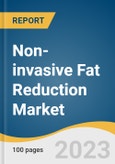 Non-invasive Fat Reduction Market Size, Share & Trends Analysis Report by Market Technology (Cryolipolysis, Ultrasound, Low Level Lasers), by End Use (Hospitals, Stand Alone Practices, Multispecialty Clinics) by Region and Segment Forecasts, 2022-2030- Product Image