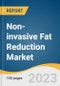 Non-invasive Fat Reduction Market Size, Share & Trends Analysis Report By Technology (Cryolipolysis, Ultrasound), By End-use (Hospitals, Standalone Practices, Multispecialty Clinics), By Region, And Segment Forecasts, 2023 - 2030 - Product Image