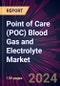 Point of Care (POC) Blood Gas and Electrolyte Market 2024-2028 - Product Thumbnail Image