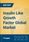 Insulin Like Growth Factor Global Market Insights 2023, Analysis and Forecast to 2028, by Manufacturers, Regions, Technology, Application, Product Type - Product Image