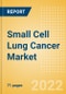 Small Cell Lung Cancer Marketed and Pipeline Drugs Assessment, Clinical Trials, Social Media and Competitive Landscape, 2022 Update - Product Thumbnail Image