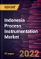 Indonesia Process Instrumentation Market Forecast to 2028 - COVID-19 Impact and Global Analysis by Technology - Product Image