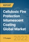 Cellulosic Fire Protection Intumescent Coating Global Market Report 2022 - Product Thumbnail Image
