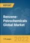 Benzene-Petrochemicals Global Market Report 2022 - Product Thumbnail Image