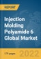 Injection Molding Polyamide 6 Global Market Report 2022 - Product Image