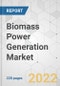 Biomass Power Generation Market - Global Industry Analysis, Size, Share, Growth, Trends, and Forecast, 2021-2031 - Product Image
