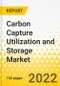 Carbon Capture Utilization and Storage Market - A Global and Regional Analysis: Focus on Application, Type, and Region - Analysis and Forecast, 2022-2031 - Product Image