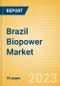 Brazil Biopower Market Size and Trends by Installed Capacity, Generation and Technology, Regulations, Power Plants, Key Players and Forecast to 2035 - Product Image
