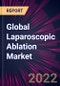Global Laparoscopic Ablation Market 2022-2026 - Product Thumbnail Image