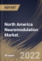 North America Neuromodulation Market Size, Share & Industry Trends Analysis Report By Technology (Internal and External), By Biomaterial, By Application, By Country and Growth Forecast, 2022 - 2028 - Product Thumbnail Image