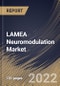 LAMEA Neuromodulation Market Size, Share & Industry Trends Analysis Report By Technology (Internal and External), By Biomaterial, By Application, By Country and Growth Forecast, 2022-2028 - Product Thumbnail Image