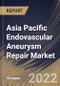 Asia Pacific Endovascular Aneurysm Repair Market Size, Share & Industry Trends Analysis Report By Indication (Abdominal and Thoratic), By Product, By Site, By Anatomy (Traditional and Complex), By Country and Growth Forecast, 2022-2028 - Product Thumbnail Image