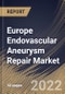 Europe Endovascular Aneurysm Repair Market Size, Share & Industry Trends Analysis Report By Indication (Abdominal and Thoratic), By Product, By Site, By Anatomy (Traditional and Complex), By Country and Growth Forecast, 2022-2028 - Product Thumbnail Image