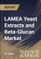 LAMEA Yeast Extracts and Beta-Glucan Market Size, Share & Industry Trends Analysis Report By Type (Yeast Extract and Yeast Beta-Glucan), By Application, By Country and Growth Forecast, 2022-2028 - Product Thumbnail Image