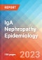 IgA Nephropathy (IgAN) - Epidemiology Forecast - 2032 - Product Thumbnail Image