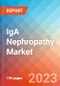 IgA Nephropathy (IgAN) - Market Insight, Epidemiology And Market Forecast - 2032 - Product Thumbnail Image