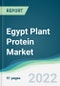 Egypt Plant Protein Market - Forecasts from 2022 to 2027 - Product Thumbnail Image