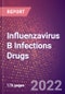 Influenzavirus B Infections Drugs in Development by Stages, Target, MoA, RoA, Molecule Type and Key Players, 2022 Update - Product Thumbnail Image