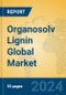Organosolv Lignin Global Market Insights 2024, Analysis and Forecast to 2029, by Manufacturers, Regions, Technology, Application, Product Type - Product Image
