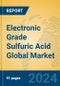 Electronic Grade Sulfuric Acid Global Market Insights 2024, Analysis and Forecast to 2029, by Manufacturers, Regions, Technology, Application, Product Type - Product Image