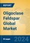 Oligoclase Feldspar Global Market Insights 2023, Analysis and Forecast to 2028, by Manufacturers, Regions, Technology, Application, Product Type - Product Thumbnail Image