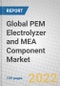 Global PEM Electrolyzer and MEA Component Market - Product Image