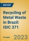 Recycling of Metal Waste in Brazil: ISIC 371 - Product Image