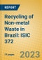 Recycling of Non-metal Waste in Brazil: ISIC 372 - Product Image