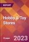 Hobby & Toy Stores - 2022 U.S. Market Research Report with Updated COVID-19 Forecasts - Product Image