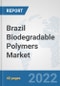 Brazil Biodegradable Polymers Market: Prospects, Trends Analysis, Market Size and Forecasts up to 2028 - Product Thumbnail Image