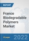 France Biodegradable Polymers Market: Prospects, Trends Analysis, Market Size and Forecasts up to 2028 - Product Thumbnail Image