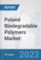 Poland Biodegradable Polymers Market: Prospects, Trends Analysis, Market Size and Forecasts up to 2028 - Product Thumbnail Image
