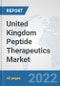 United Kingdom Peptide Therapeutics Market: Prospects, Trends Analysis, Market Size and Forecasts up to 2028 - Product Thumbnail Image